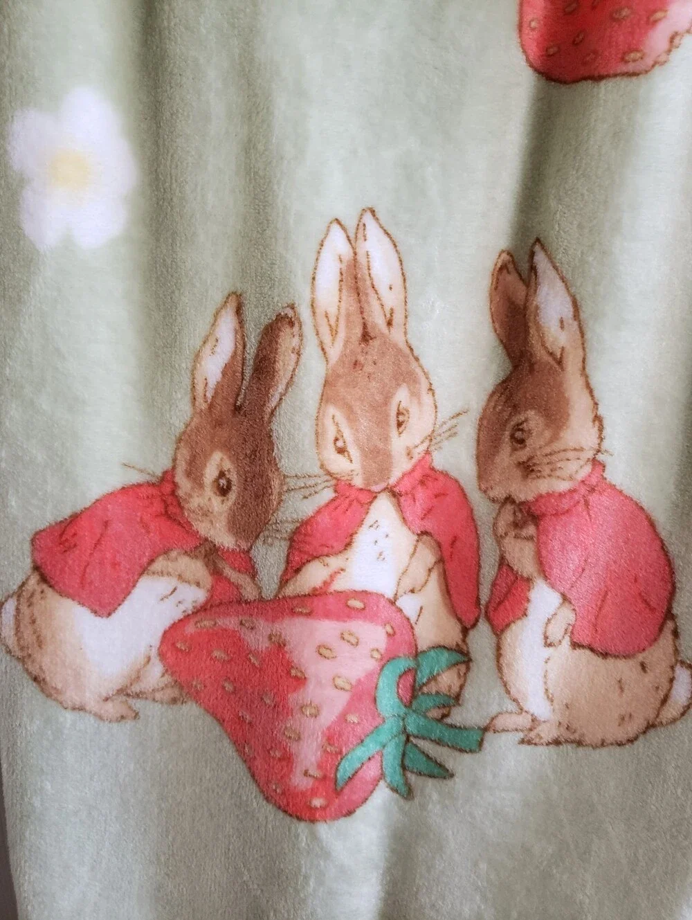 Beatrix Potter Peter Rabbit Sage Green 50x70  Strawberry Plush Throw Blanket NWT